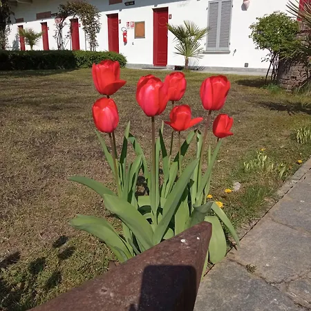 Albergo Antica Dogana-3